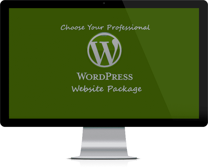pro wordpress website